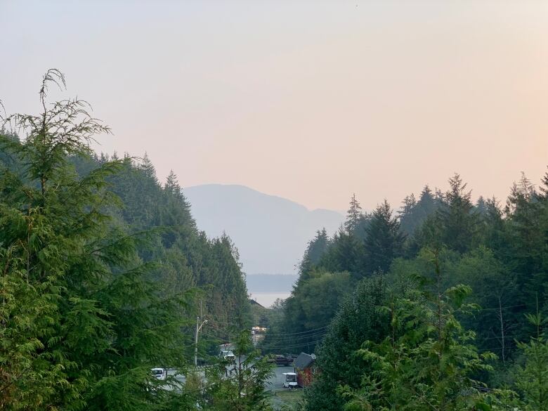 Smoky skies frame mountains and a picturesque forest.