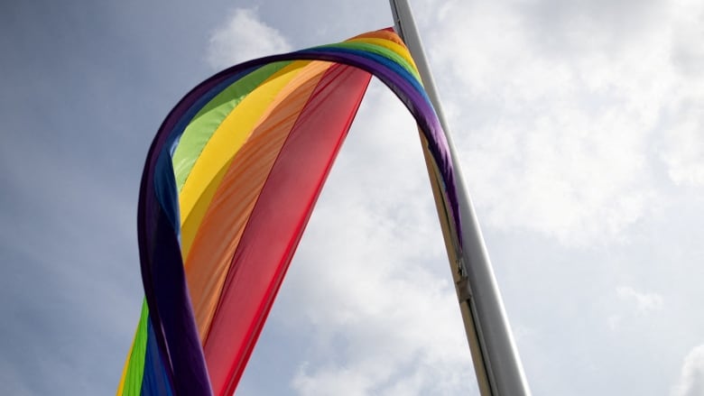 A rainbow flag is flown on a pole.