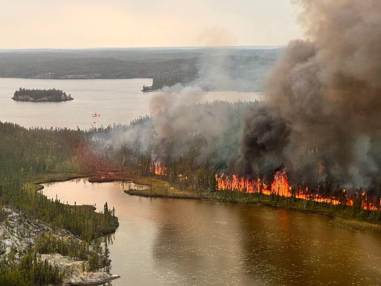 a forest fire seen from above