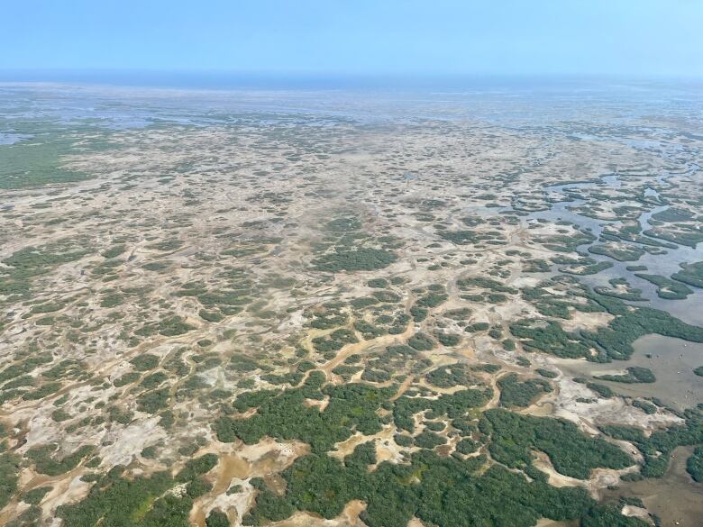 A braided landscape of wetlands and forest, as seen from about 150 metres in the air.