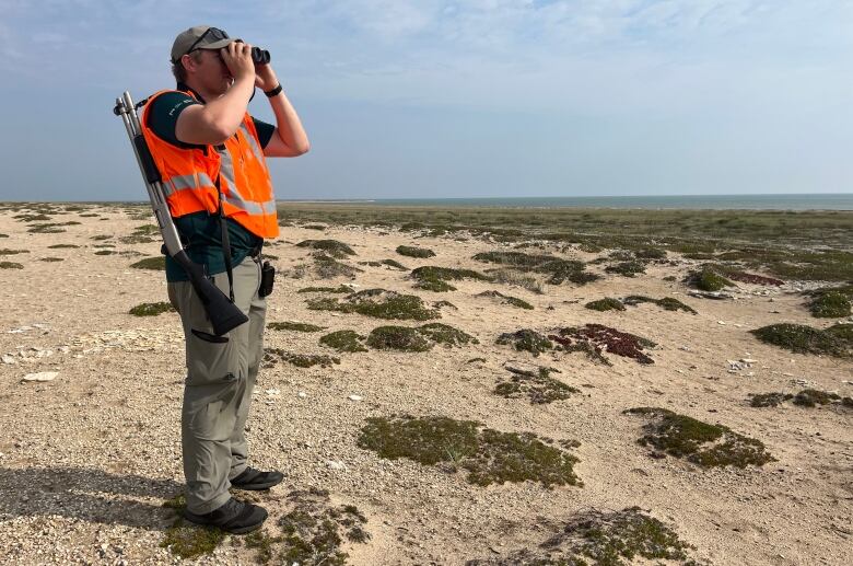 A man wearing a high-visibility vest stands on a sandy ridge and peers through binoculars out over the tundra. A large body of water is visibile in the distance.