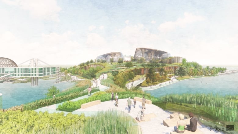 Walkways and green space on top of a building on the waterfront.