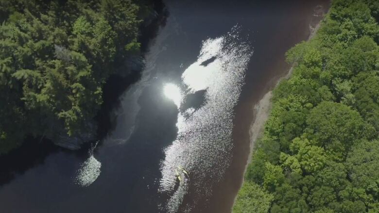 an aerial view of a river in between trees