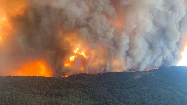 Open fire and heavy smoke is shown on a forested mountainside.