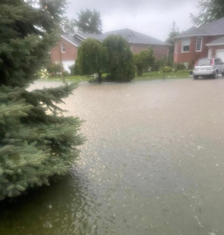 Flooding in a Harrow, Ont., neighbourhood.