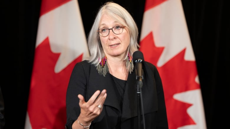 A politician gestures standing at a microphone, before a black curtain with Canadian flags behind it.