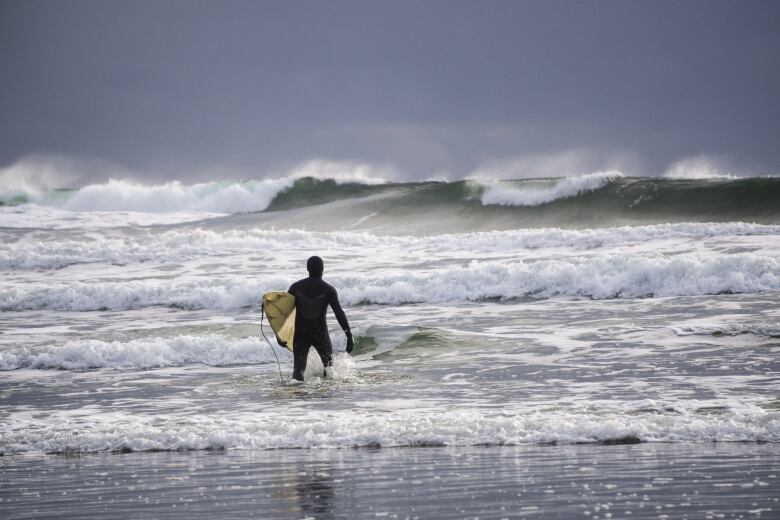 Surfer walking in the ocean with big waves to go surfing.