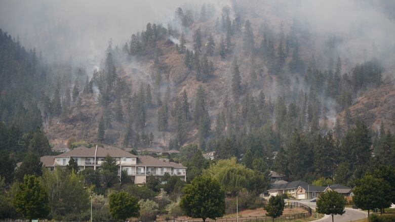 Smoke is seen among trees on a mountainside.