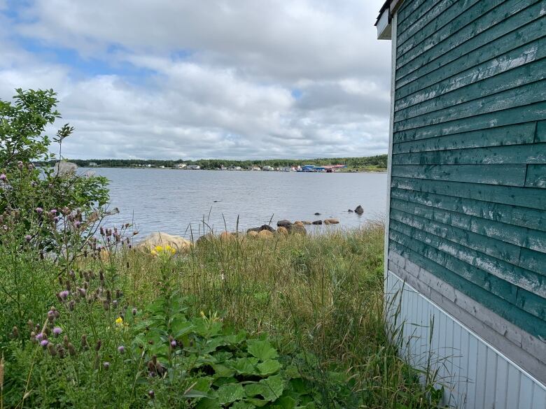 A green wooden shed sits next to some tall grass in the foreground. In the background is a salt water bay and houses against a blue sky with white clouds.