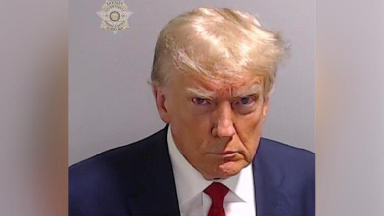 Donald Trump mug shot. 