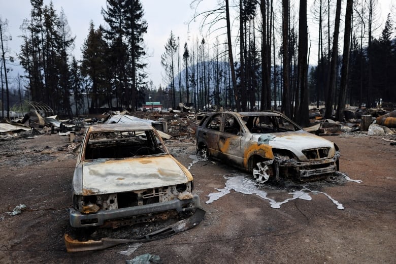 Two burned out vehicles are shown in a parking area. Blackened trees and refuse can be seen in the background.