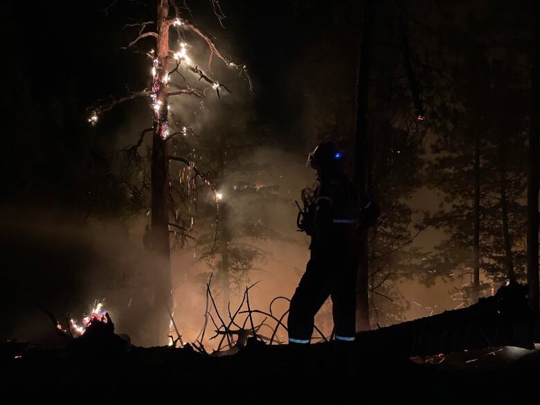 Red smoke is pictured in the dark night, silhouette of a firefgihter visible in front. 