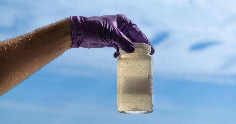 A hand with a purple glove holding a jar of dirty water to the light against a blue sky