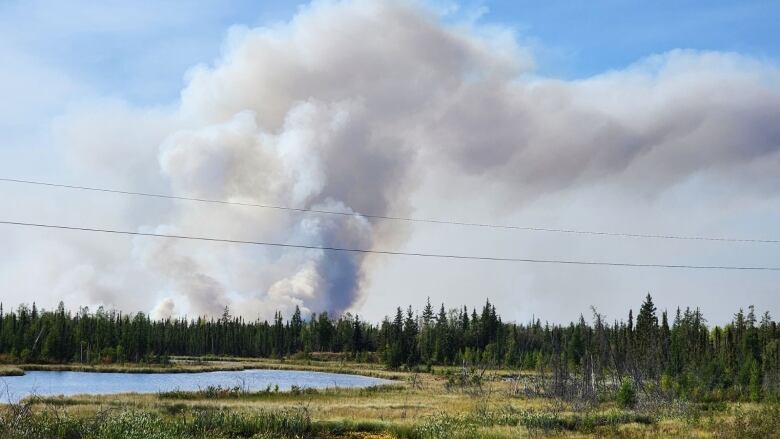 Smoke from a wildfire is seen in the distance, beyond a forest and pond.