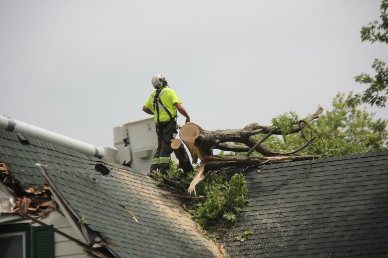 Worker show on top of a Harrow, Ont., home following a storm that pulled down a tree onto its roof in 2023.