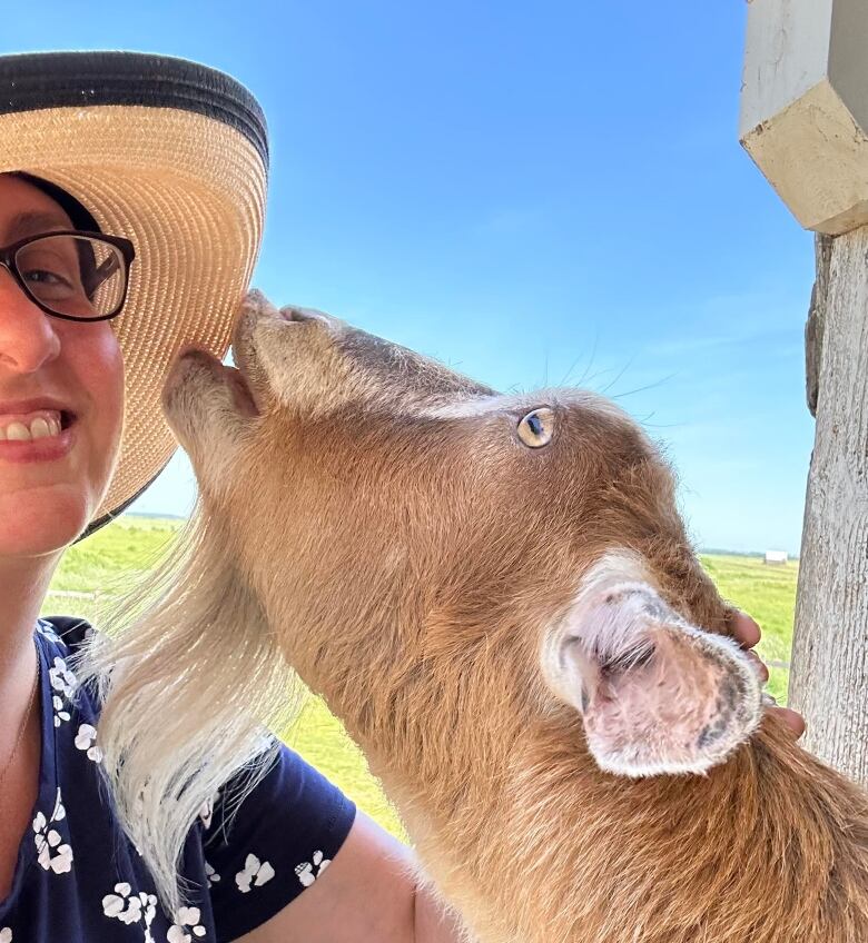 woman getting licked by a goat