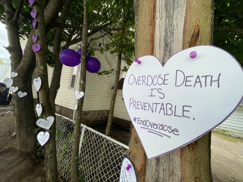 hearts hand from trees with names of people handwritten on each one