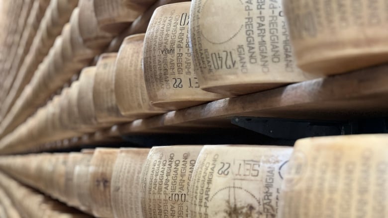 Wheels of Parmesan cheese sit in rows ripening.