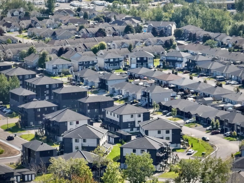 Similar-looking homes in a suburban part of a city in summer, from above.