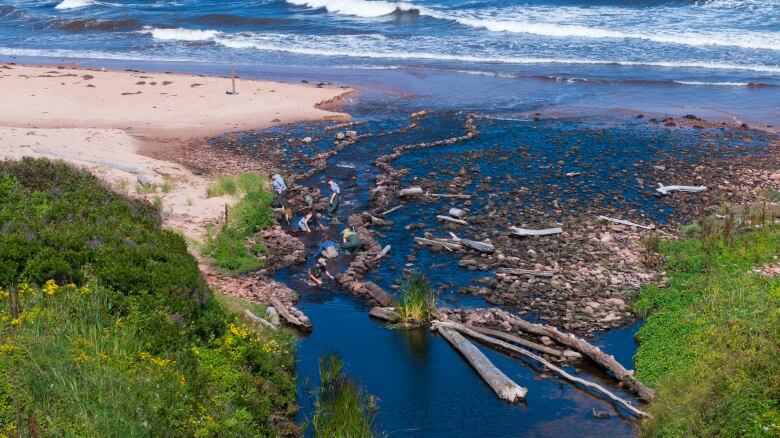 Drone view of crew working in stream leading to the Bear River 