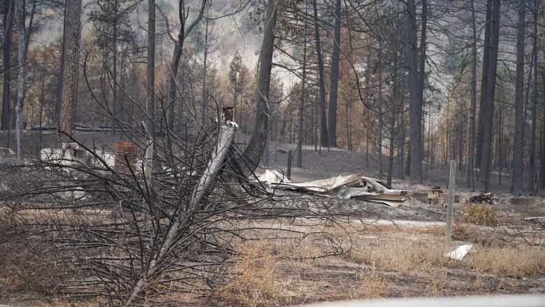 Two properties are seen burned tot he ground in the aftermath of wildfires in Kelowna, B.C.