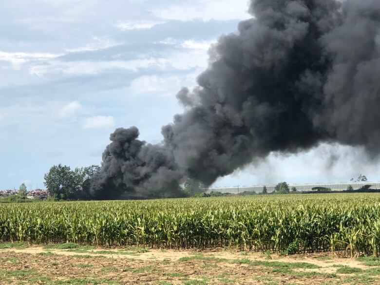 Large plumes of smoke next to a corn field.