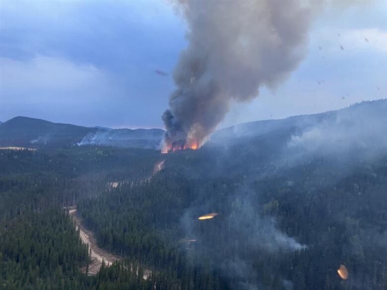 Flames and smoke in and above a forested area.