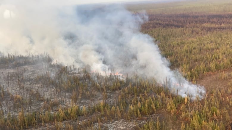 A wildfire is seen from above with lots of smoke coming from an area with many trees