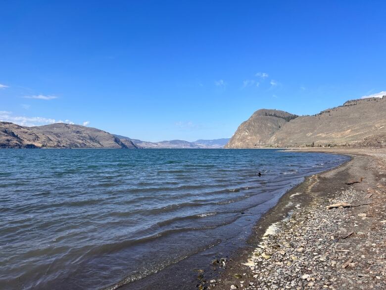 Lake water laps at a shoreline with a desert-like landscape in the background.