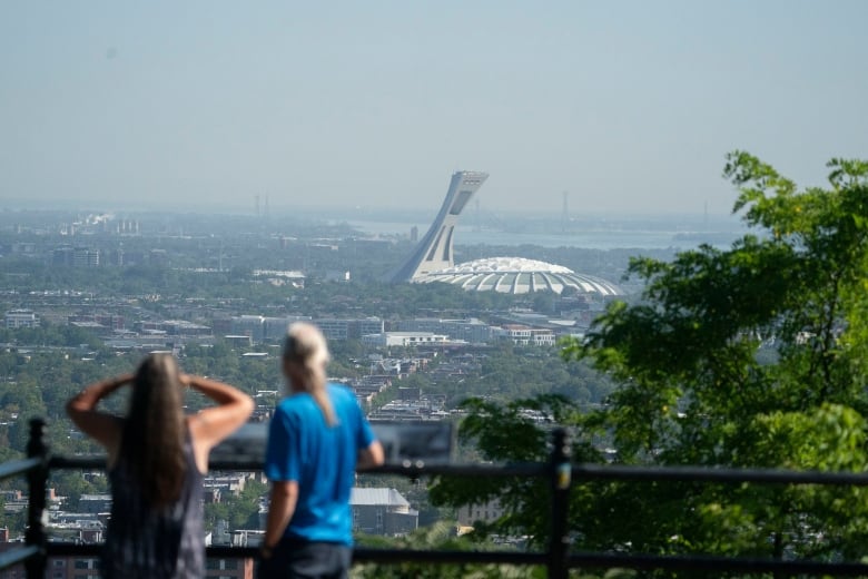 A man and a woman, seen from behind, look out at a skyline.