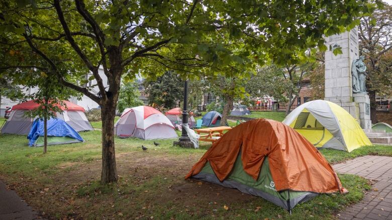 Several tents are seen setup in a city park.