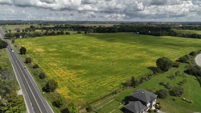 An open farm field.