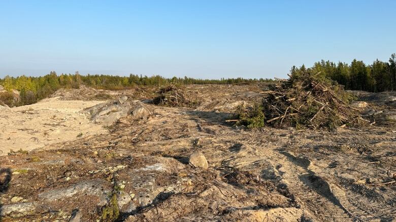 Piles of brush and trees in an otherwise clear cut strip of rocky and sandy land. 