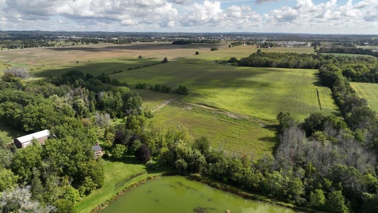 Farm fields and forest.