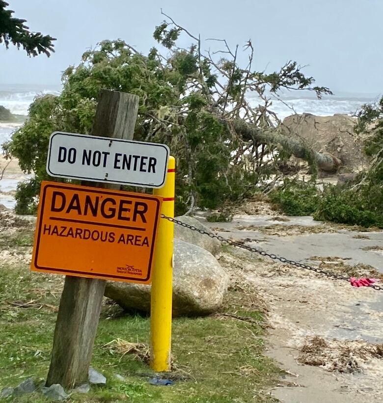 A fallen tree is pictured on a roadway at Rissers Beach. A do not enter sign is in the foreground.