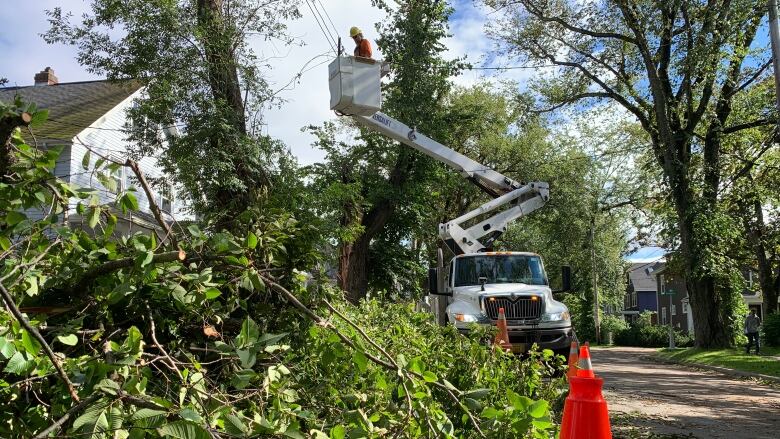 A power worker stands in a bucket on a truck surrounded by trees. There are fallen trees and a pylon in the foreground.