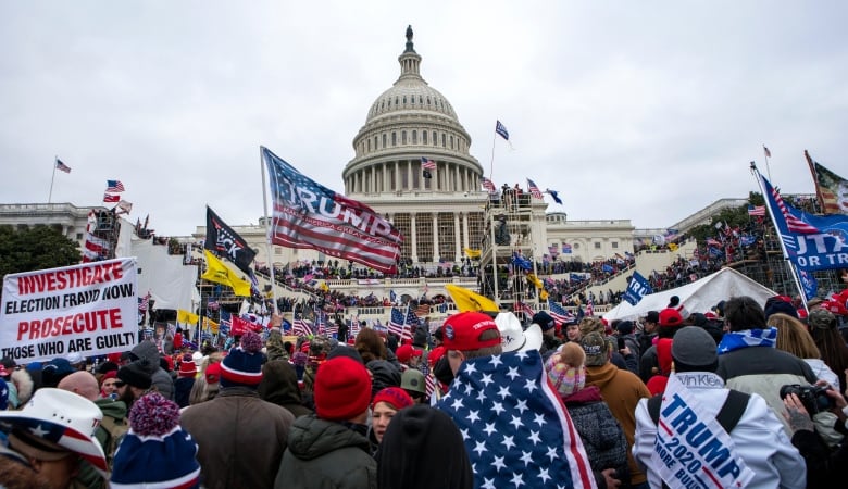 A wide shot of hundreds of demonstrators with signs and flags on the grounds of the U.S. Capitol is shown.