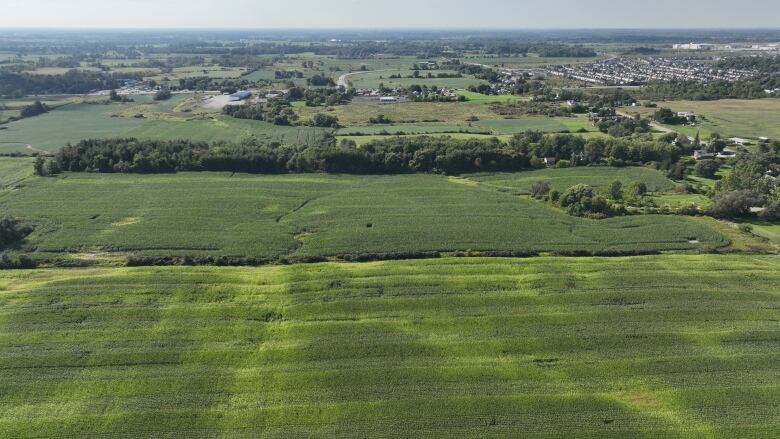 farmland