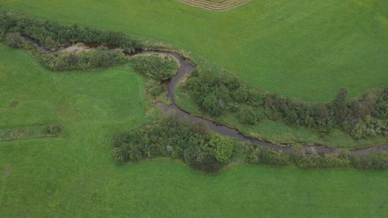 Aerial photo of winding creek through green pastures.