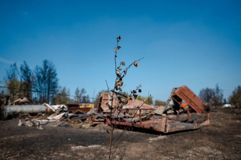 Charred remains are seen on the side of the road beside the highway in Enterprise, Northwest Territories, Canada, on August 20, 2023