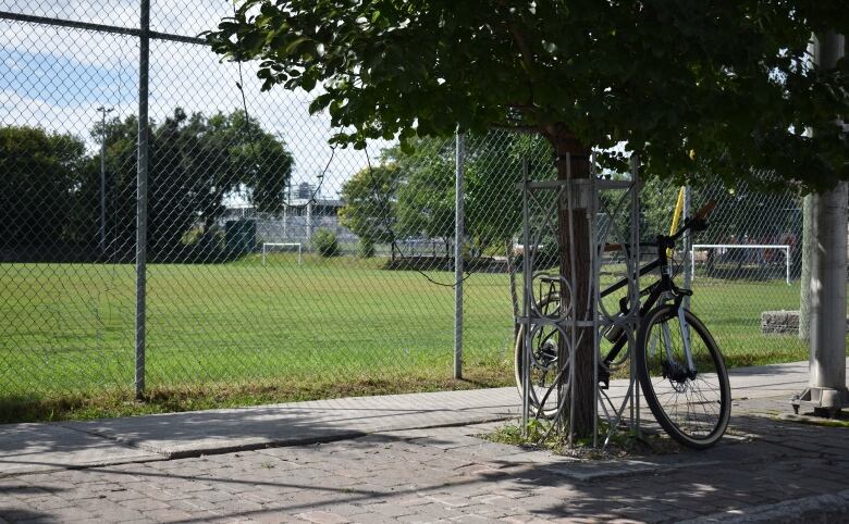 A bike is locked to a tree outside a park.