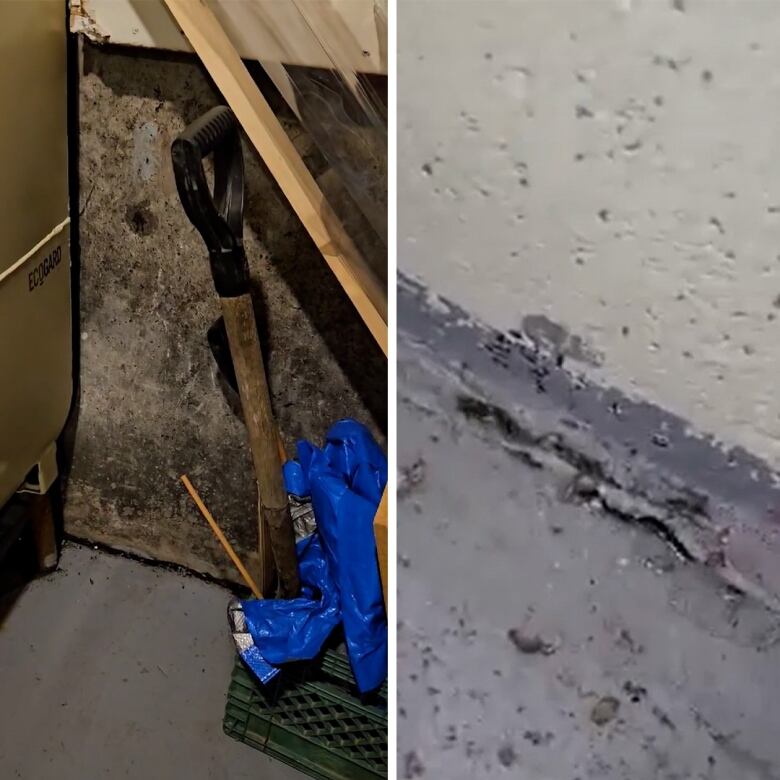 A photo shows mould on walls in a basement.