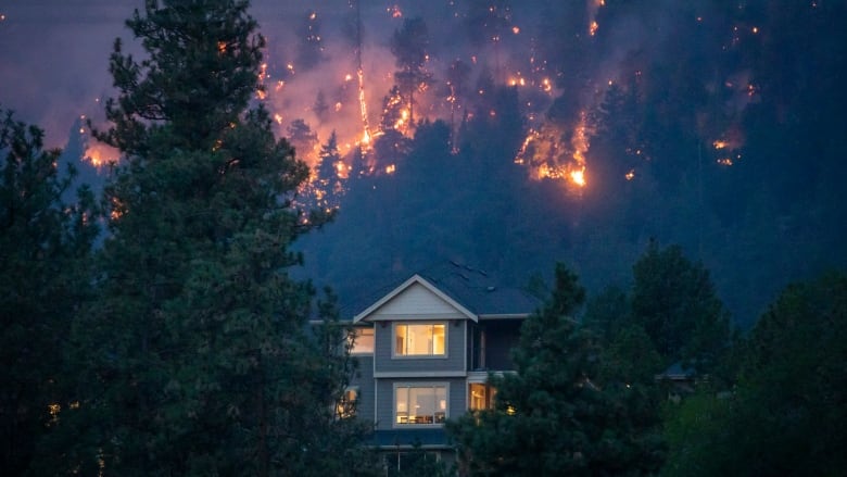 Bright orange flames can be seen on a forested mountainside above a large house.