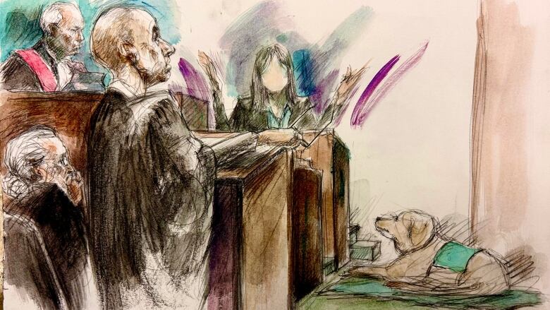 Courtroom sketch shows faceless woman on witness stand being questioned by lawyer in robes, with yellow lab-type dog wearing a green service vest at her feet