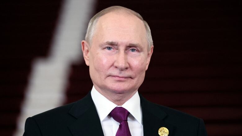 Russian President Vladimir Putin in a portrait, wearing a suit and tie.