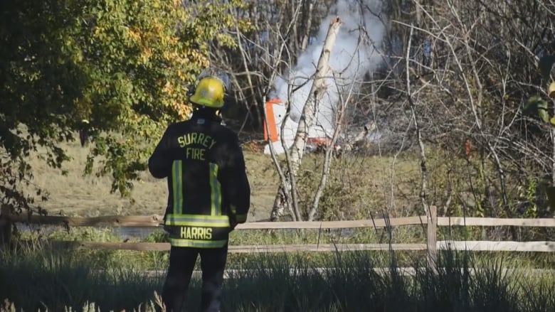 A firefighter looks on as smoking plane wreckage is visible through trees.