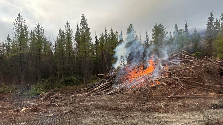 A pile of wood burning. 