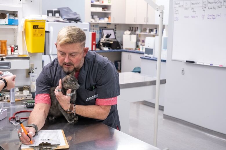 A vet does paper work with a cat in his arms on an examination table. 