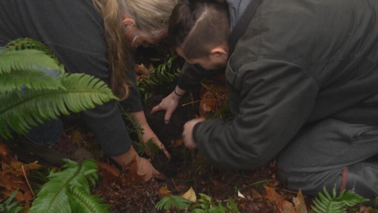 Two people crouch down and plant a tree in the earth. 