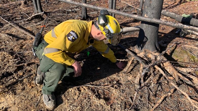 A man wearing a yellow shirt and green pants crouches by a tree.